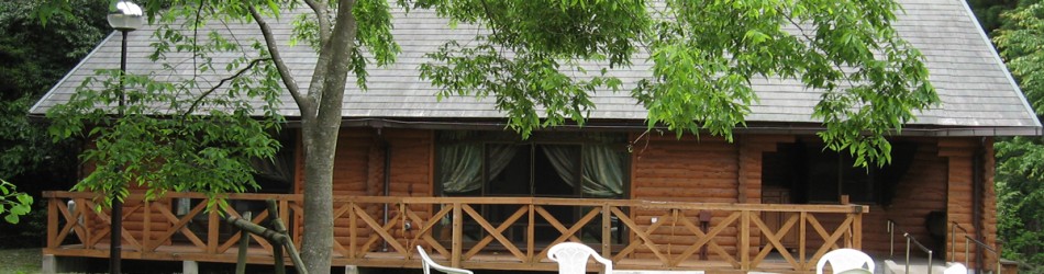 cropped-top1200×400.jpg